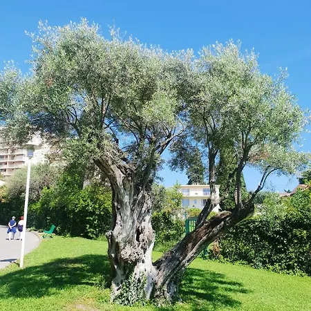 Studio Avec Piscine Partagee Et Wifi A A 3 Km De La Plage 아파트